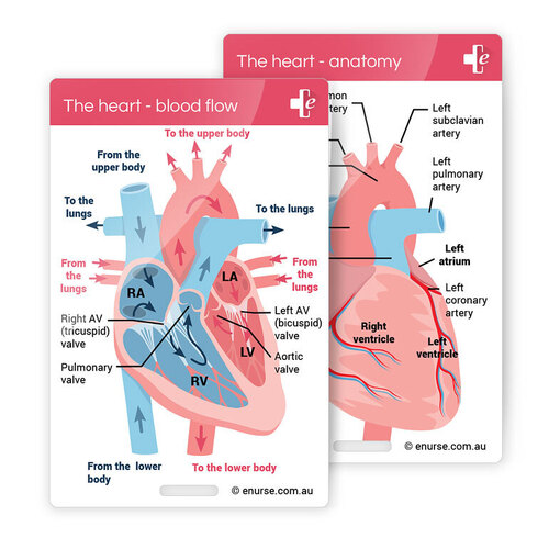 eNurse Assessment Card - Heart